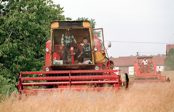 00A72107CAROE.JPG