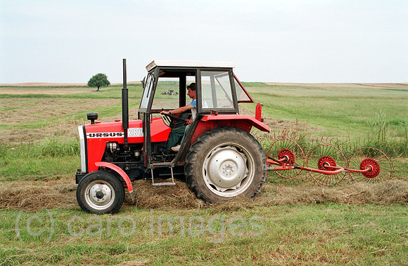 00A72625ACAROE.JPG