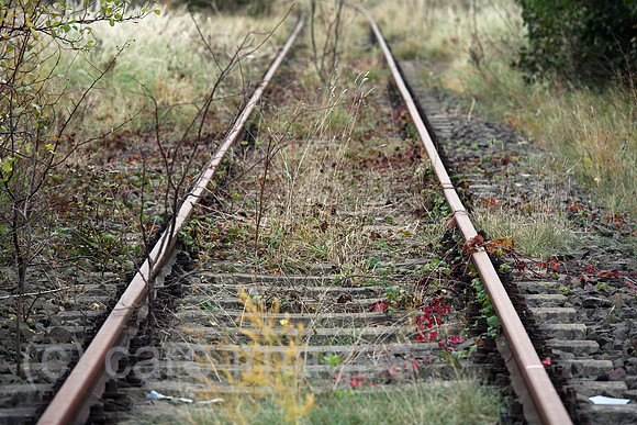 00A071024D004CAROE.JPG