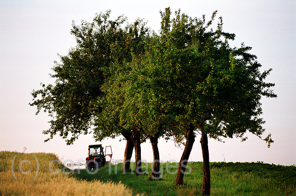 00A73729CAROE.JPG
