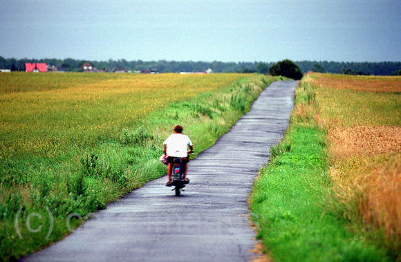 00A74035ACAROE.JPG