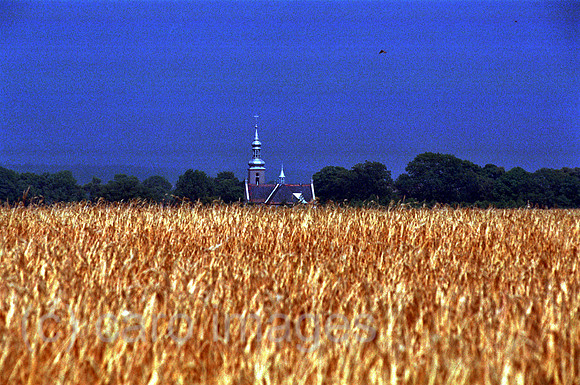00A71633ACAROE.JPG