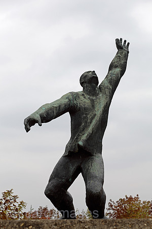 00P101017D527CARO.JPG
