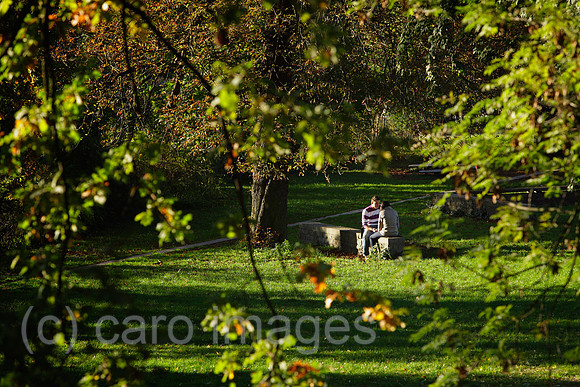 00P101010D189CARO.JPG