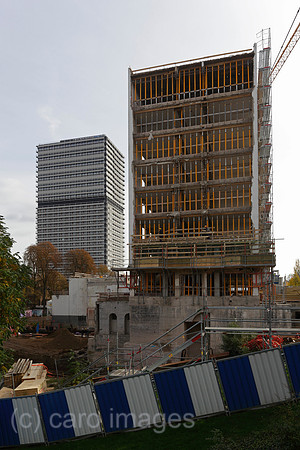 00P101028D705CARO.JPG