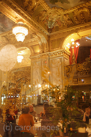00P101017D559CARO.JPG