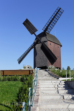 00P101010D174CARO.JPG