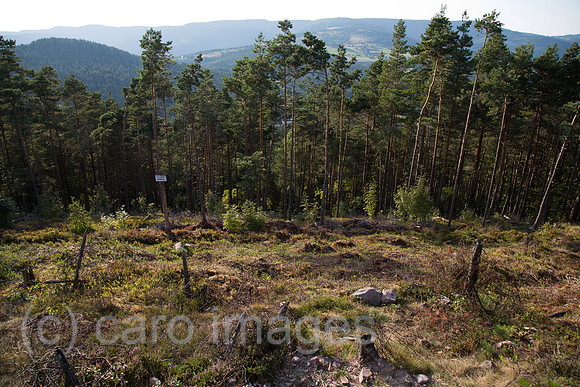 00A130906D427CAROE.JPG