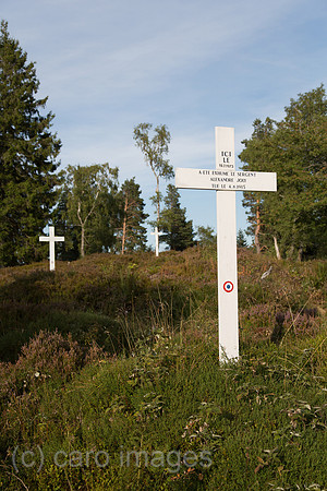 00A130906D385CAROE.JPG