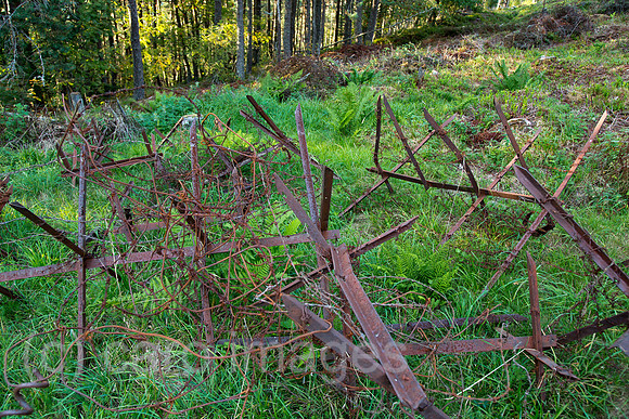 00A130906D506CAROE.JPG