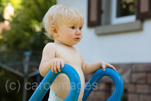 00A130905D071CAROEX.JPG