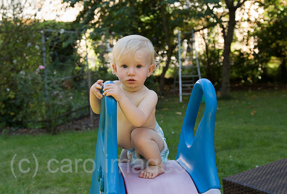 00A130905D056CAROEX.JPG