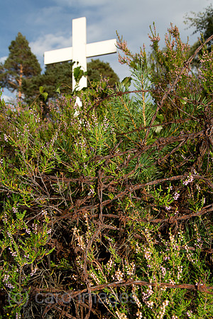00A130906D455CAROE.JPG