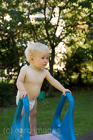 00A130905D068CAROEX.JPG