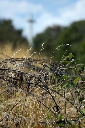 00A130906D327CAROE.JPG