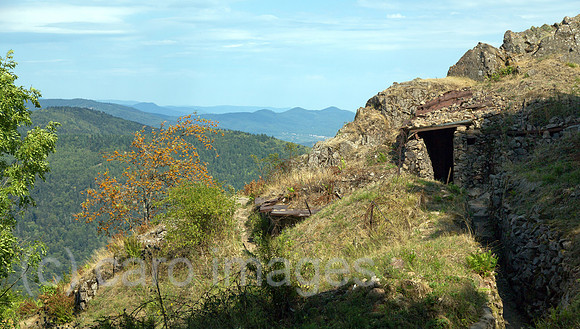 00A130906D130CAROE.JPG