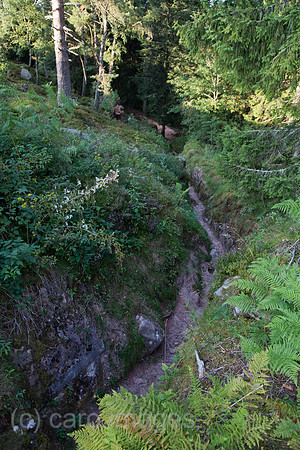 00A130906D495CAROE.JPG