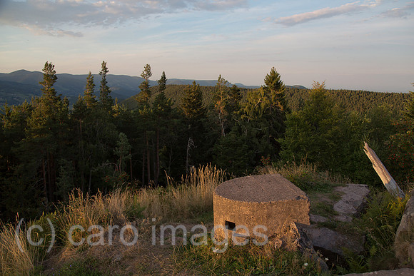00A130906D574CAROE.JPG