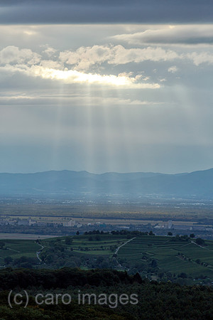 00A130909D511CARO.JPG