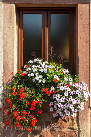 00A130830D049CARO.JPG