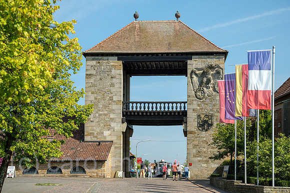 00A130830D015CARO.JPG