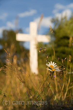 00A130906D549CAROE.JPG