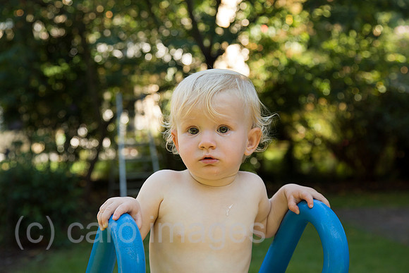00A130905D064CAROEX.JPG