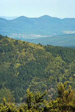 00A130906D146CAROE.JPG