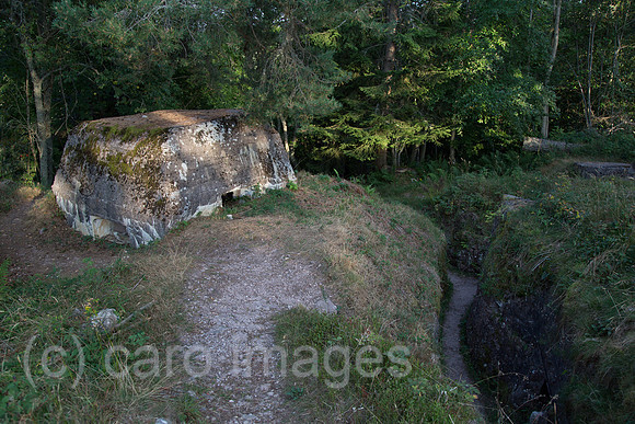 00A130906D498CAROE.JPG