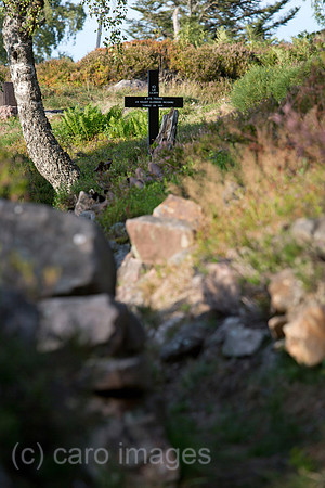 00A130906D445CAROE.JPG