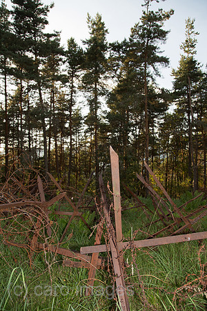 00A130906D509CAROE.JPG
