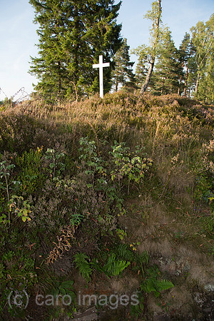 00A130906D500CAROE.JPG