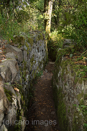 00A130906D259CAROE.JPG