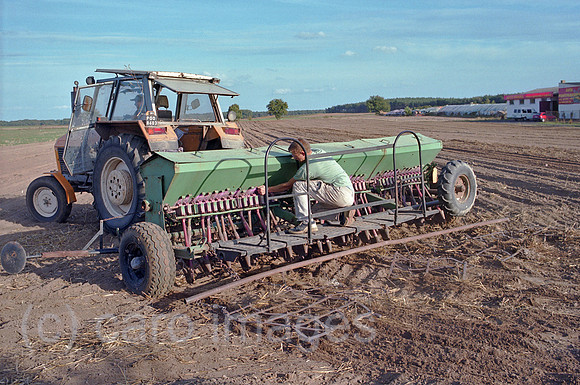 00A179403CAROE.JPG