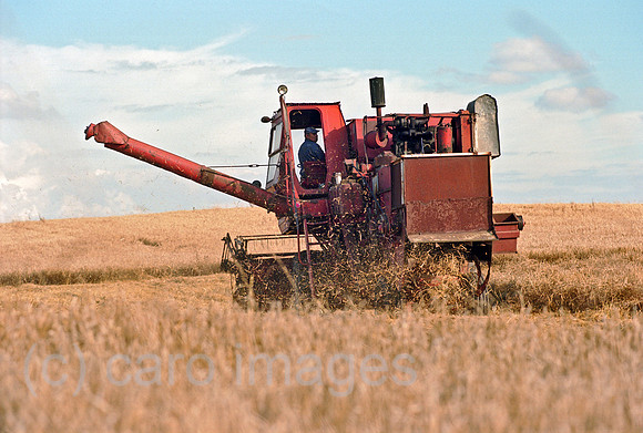 00A178323CAROE.JPG