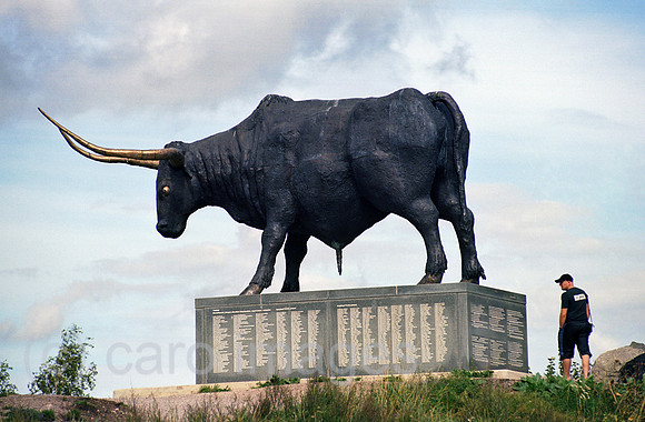 00A176817CAROE.JPG