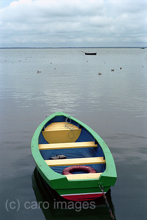 00A177627CAROE.JPG