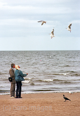 00A174305CAROE.JPG