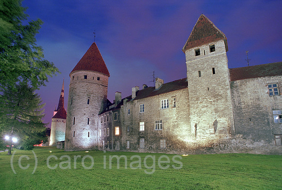 00A176631ACAROE.JPG