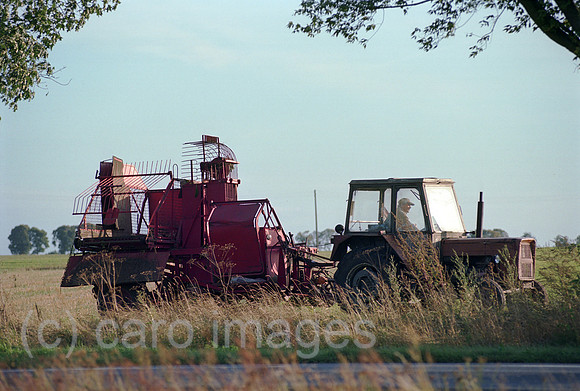 00A179431CAROE.JPG
