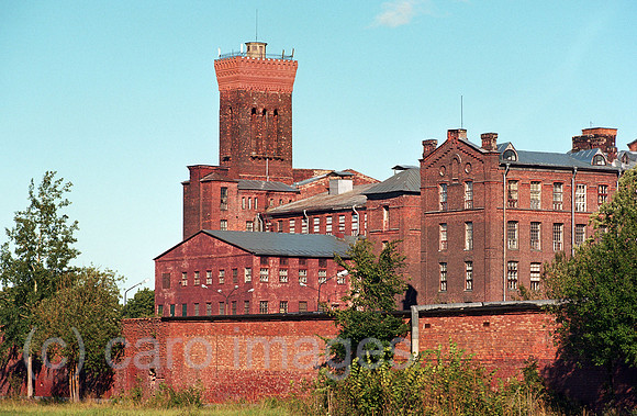 00A175415ACAROE.JPG
