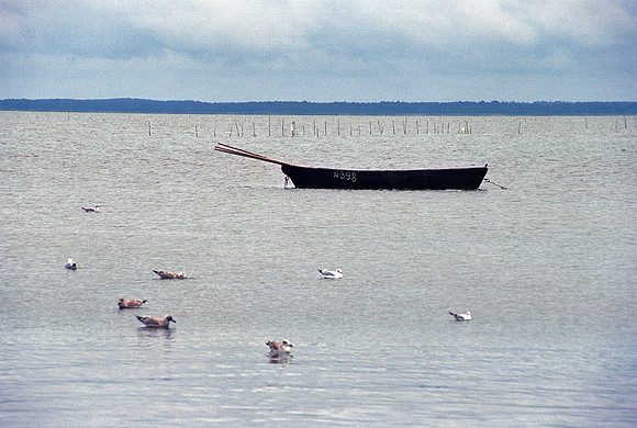 00A177620CAROE.JPG