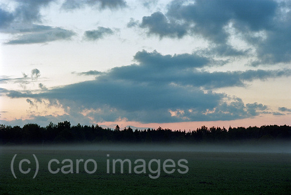 00A176708CAROE.JPG