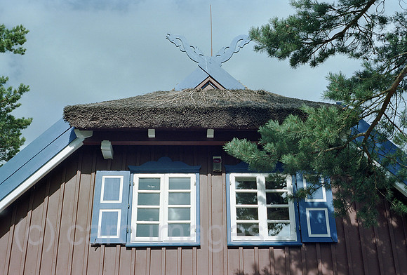 00A177307CAROE.JPG
