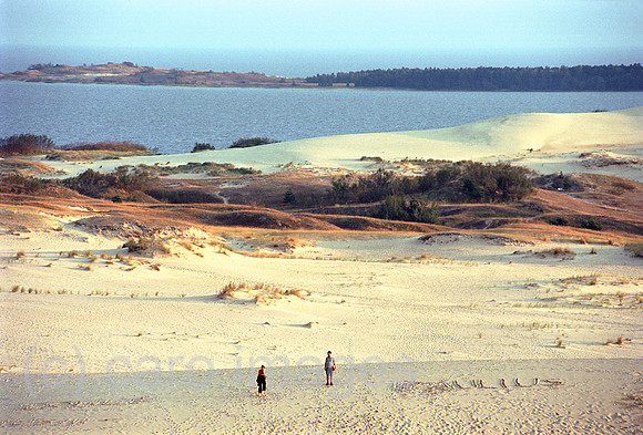 00A177334CAROE.JPG