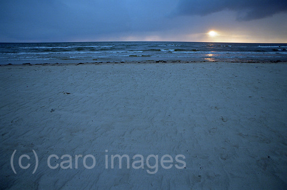 00A177019ACAROE.JPG