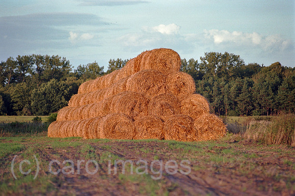 00A179505CAROE.JPG