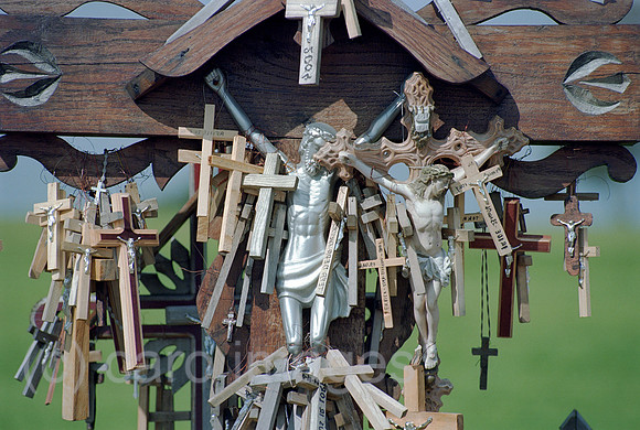 00A178105CAROE.JPG