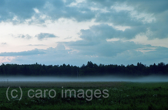 00A176715CAROE.JPG