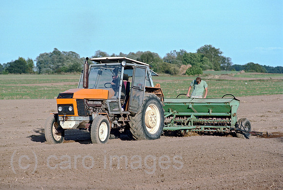 00A179411CAROE.JPG